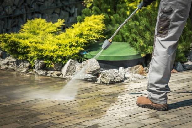 Best Driveway Pressure Washing  in Belle Rose, LA