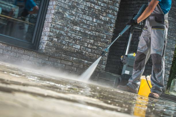 Boat and Dock Cleaning in Belle Rose, LA