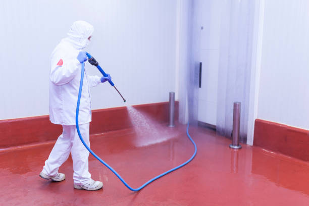Trusted Belle Rose, LA  Pressure Washing Services Experts