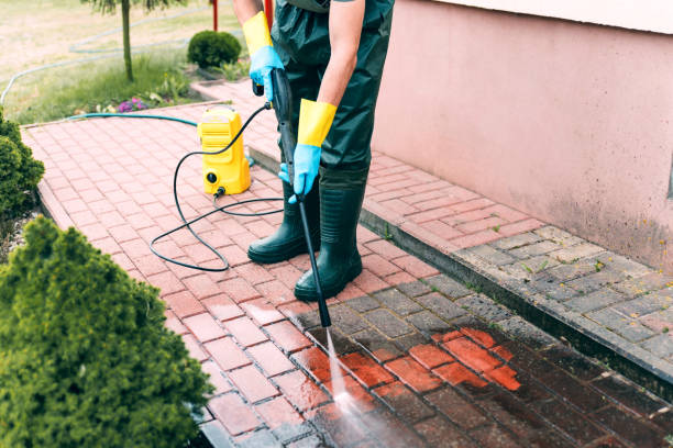 Best Building Exterior Washing  in Belle Rose, LA