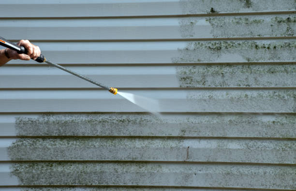 Best Fence Cleaning  in Belle Rose, LA