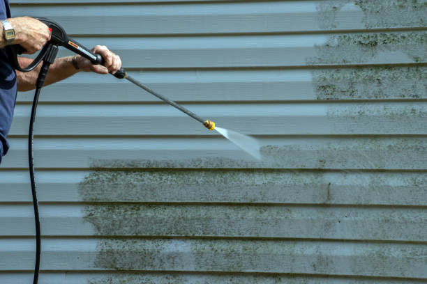 Best Sidewalk and Walkway Cleaning  in Belle Rose, LA