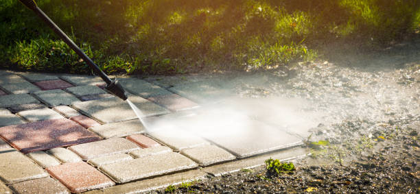 Best Roof Washing  in Belle Rose, LA